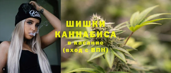 твердый Кулебаки