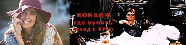 гидра Лагань