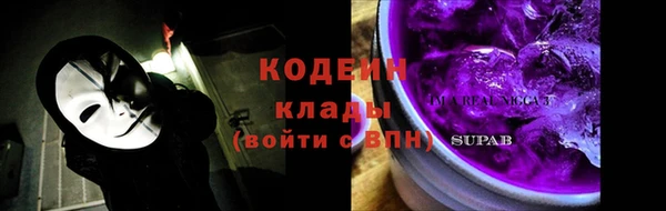 прущие грибы Лабытнанги