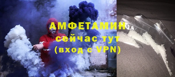 прущие грибы Лабытнанги