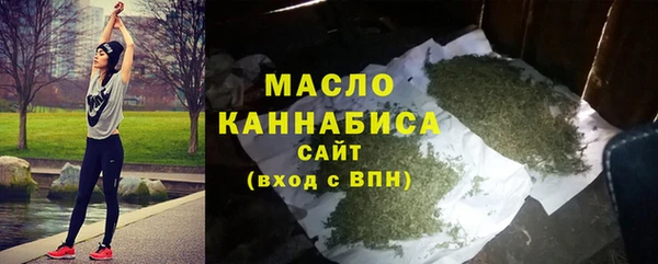 гидра Краснослободск