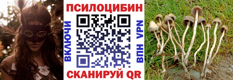Псилоцибиновые грибы ЛСД  Краснослободск 